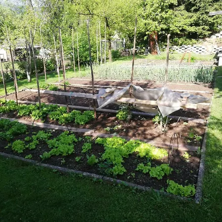 Sopar * Шкофья-Лока