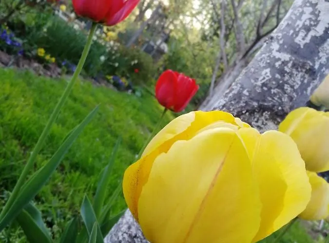 דירה Sopar שקופיה-לוקה