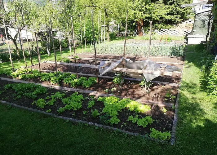 Sopar * Škofja Loka